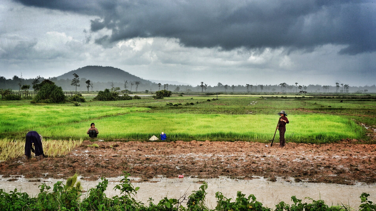 ND strupler on Flickr