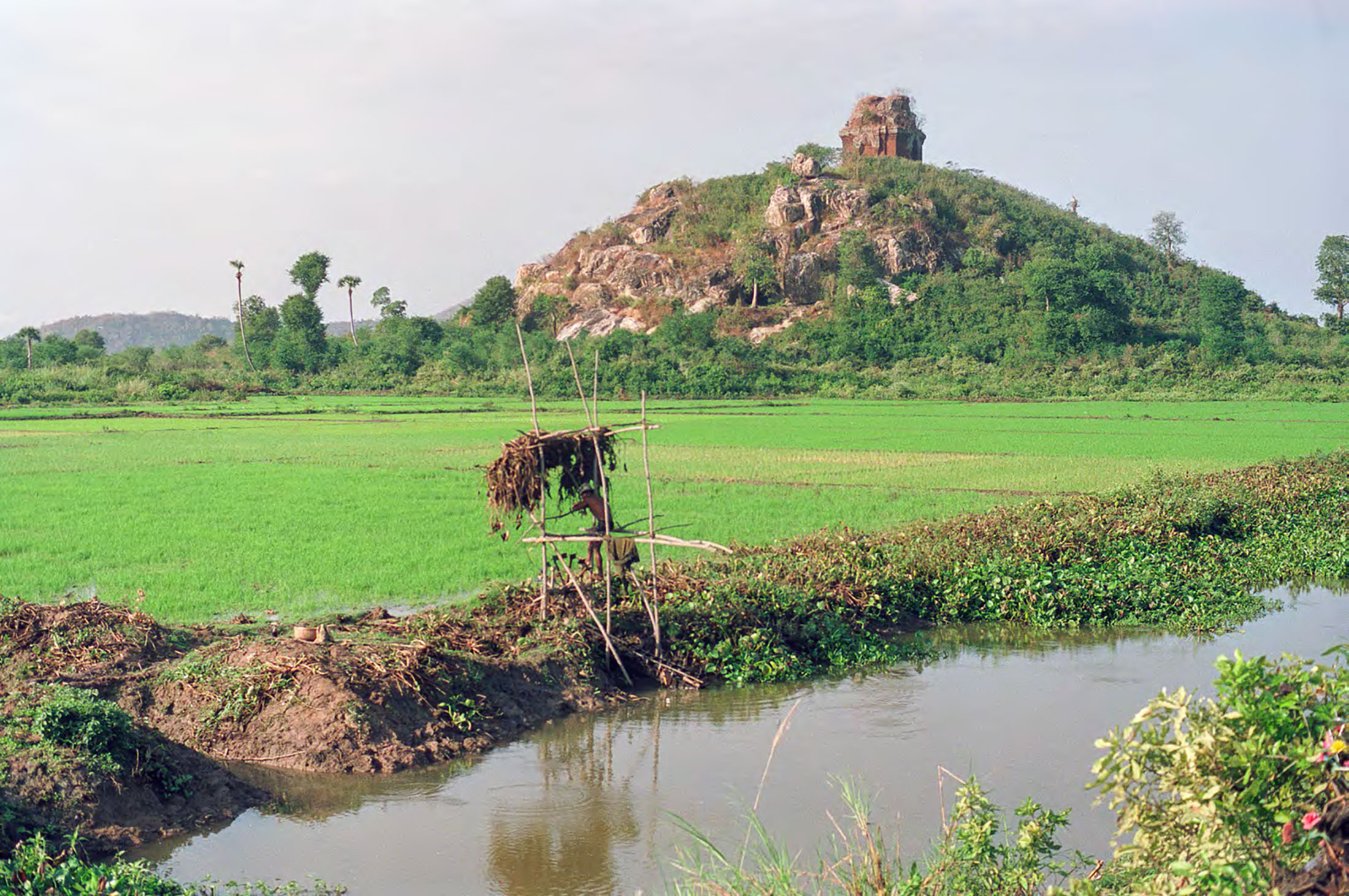 Photo by Ben Kiernan