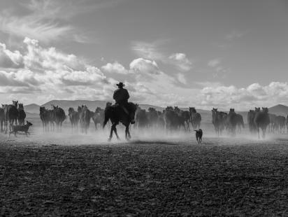 © Photo cc_Mahir Uysal - Unsplash