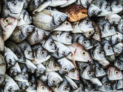 Photo by Pietro Caspani on unsplash